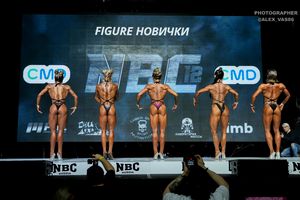 FIGURE НОВИЧКИ